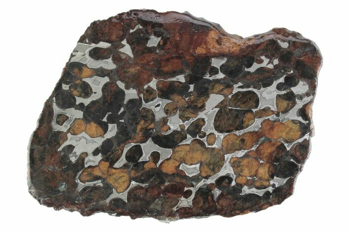 Sericho Pallasite Meteorite ( g) Slice - Kenya #383017